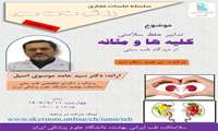 برگزاری وبینار تدابیر حفظ سلامتی کلیه ها و مثانه از دیدگاه طب سنتی